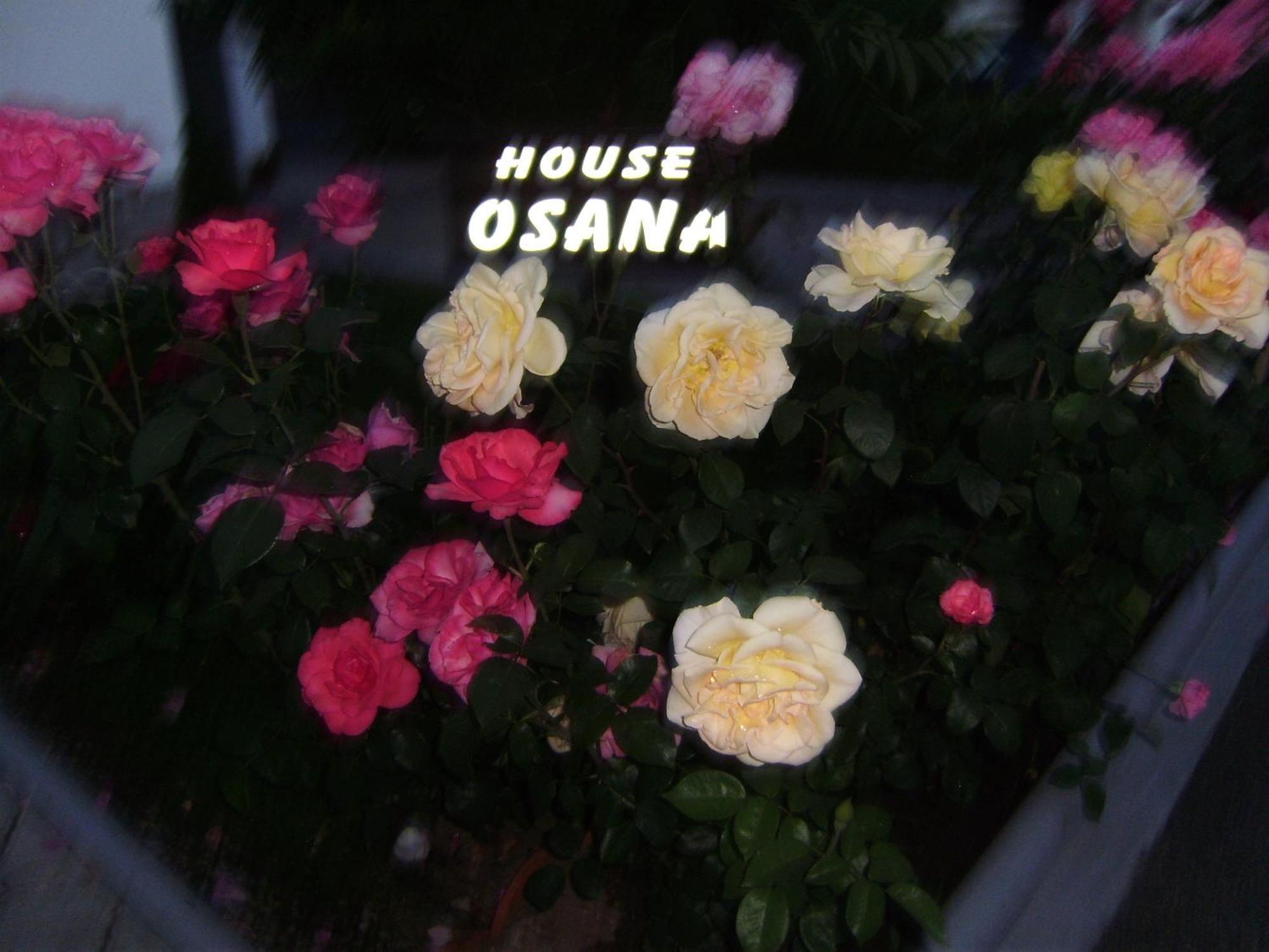 House Osana Ξενοδοχείο Grabovac  Εξωτερικό φωτογραφία